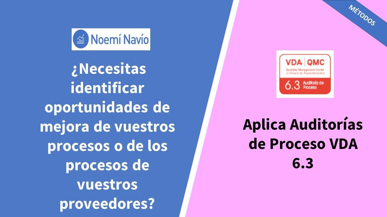 PI 8 Auditoría de Proceso VDA 6.3