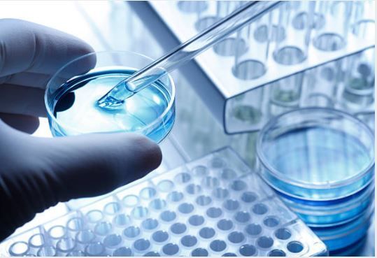 Sanitario in vitro